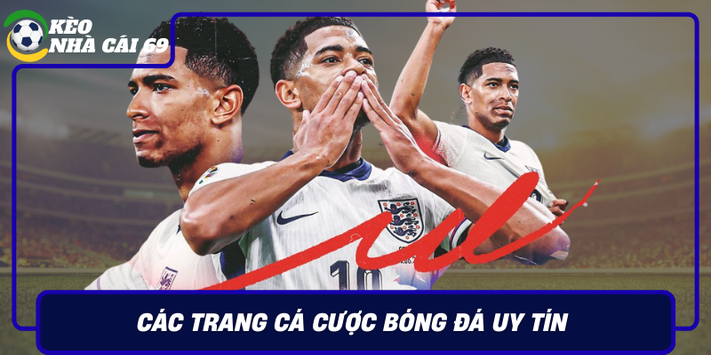 Cac Trang Ca Cuoc Bong Da Uy Tin Va Web Ca Do An Toan