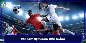 Keo 1X2 Meo Chon Cua Thang Dua Tren Ty Le Tai Keonhacai69