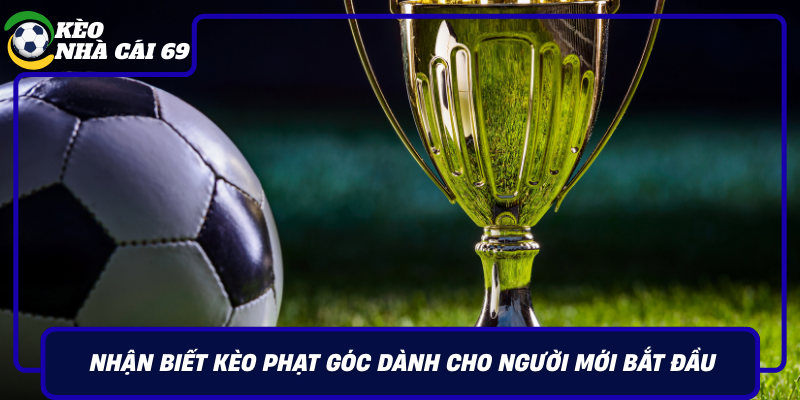 Nhan Biet Keo Phat Goc Danh Cho Nguoi Moi Bat Dau