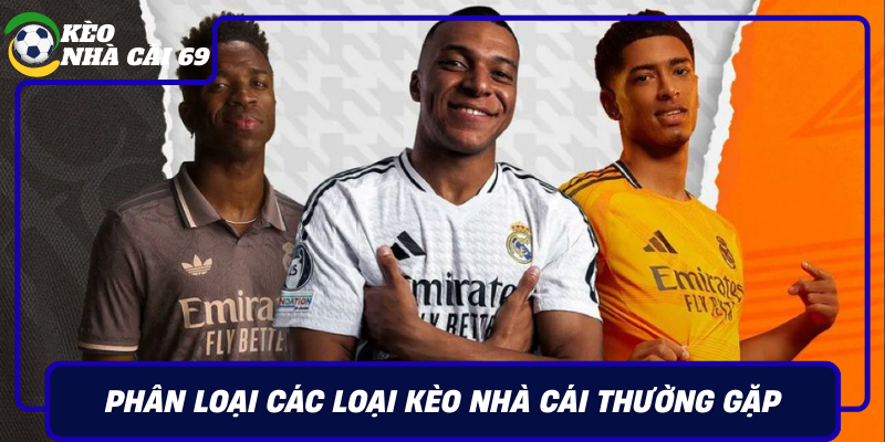 Phan Loai Cac Loai Keo Nha Cai Thuong Gap