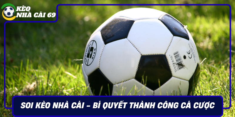 Soi Keo Nha Cai Bi Quyet Thanh Cong Ca Cuoc