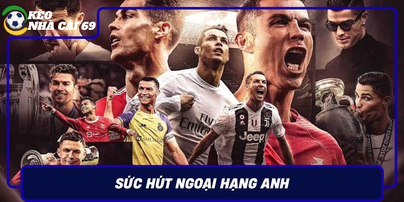 Suc Hut Ngoai Hang Anh Thuoc Do Dang Cap Va Loi Choi